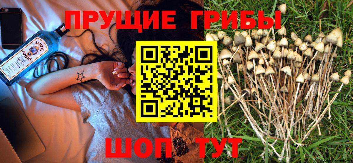 Псилоцибиновые грибы GOLDEN TEACHER Юрга